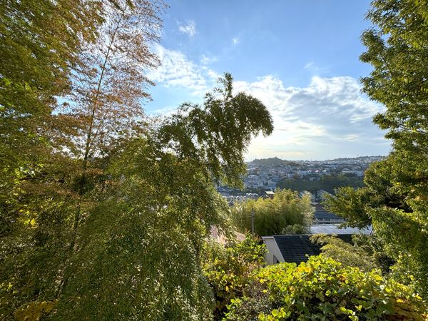 多摩美2丁目(古家有) 眺望 眺望