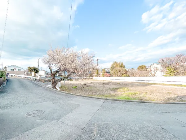 前面道路の様子