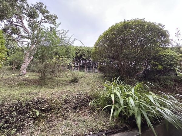 王禅寺東5丁目 戸建 庭 王禅寺東5丁目 戸建 庭