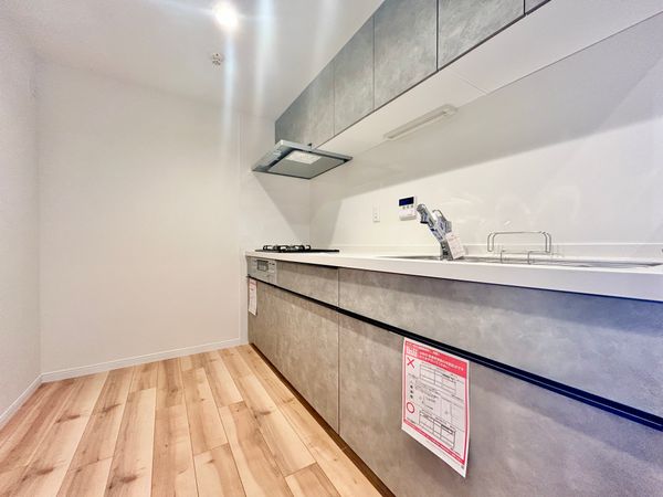 向ヶ丘遊園パーク・ホームズ キッチン