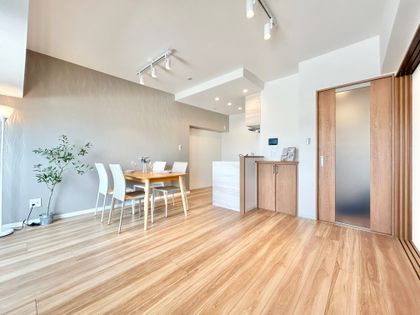 ドメス登戸弐番館 リビング