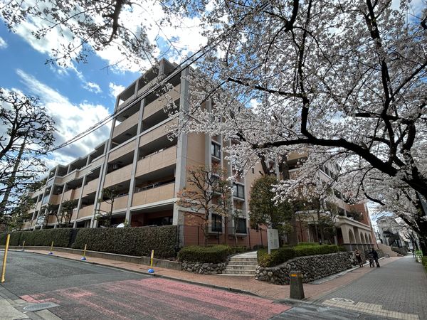 ナイスステージ世田谷桜丘 地図 ナイスステージ世田谷桜丘 地図