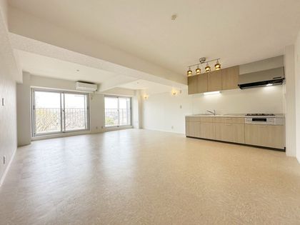 新武蔵野スカイハイツ 室内