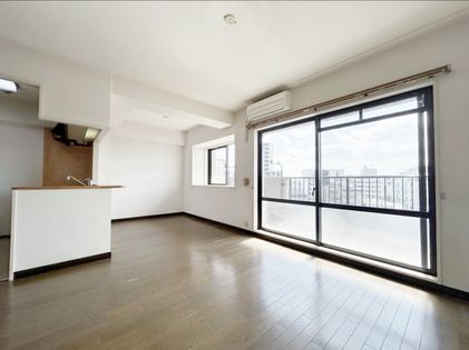 ナイスアーバン久米川 リビング