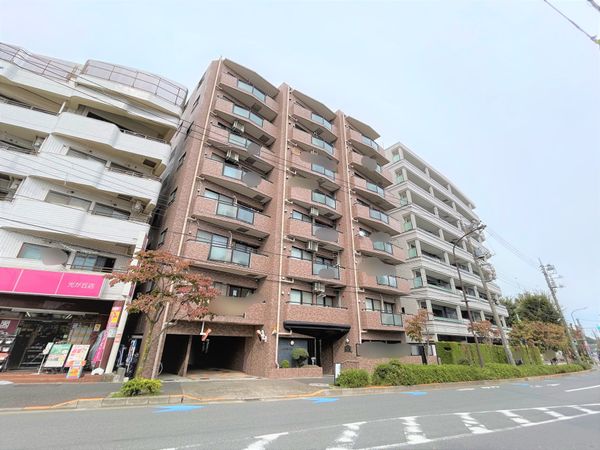 日神パレステージ光が丘 外観 外観