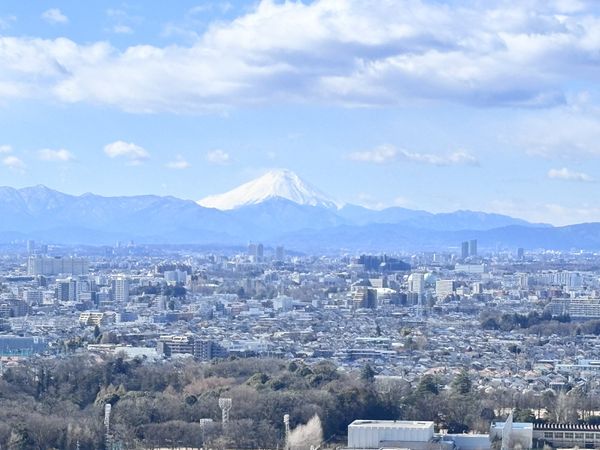 石神井公園ピアレス A棟 眺望 石神井公園ピアレス A棟 眺望