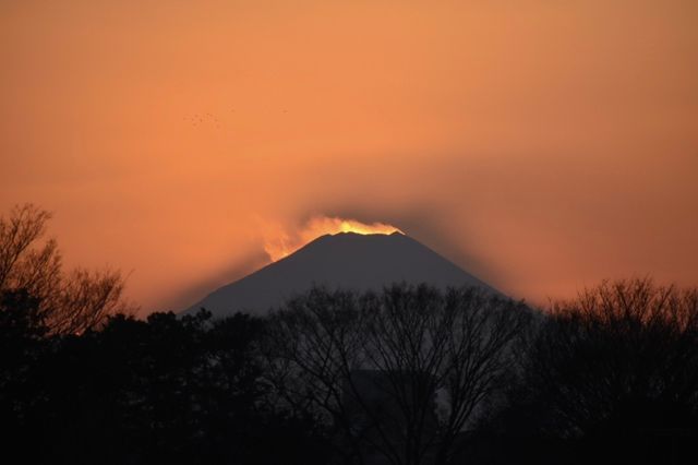 練馬区早宮1丁目 戸建 眺望