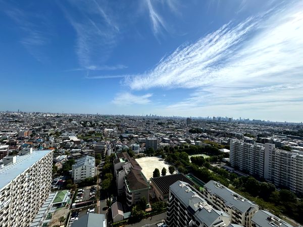 光が丘パークタウンいちょう通り東第三団地 1号棟 眺望