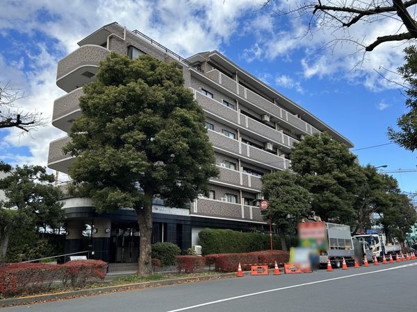 ライオンズヴィアーレ光が丘公園 眺望