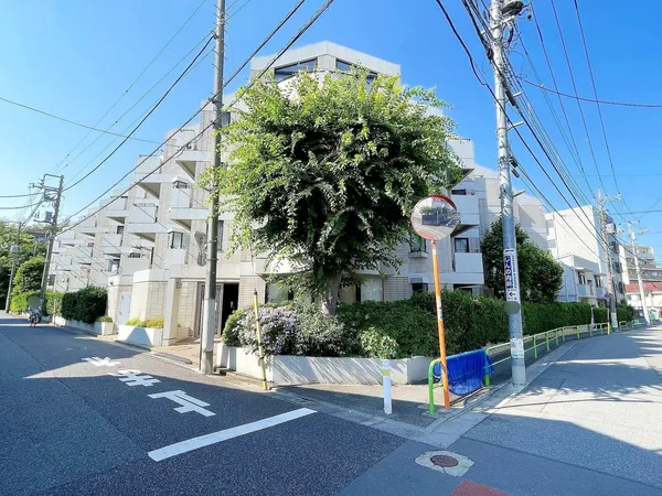 低層住宅専用地域。交通量も少なく閑静な住宅街です。