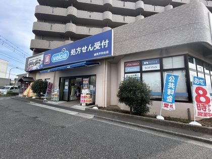 ウエルシア練馬平和台店（約350ｍ）