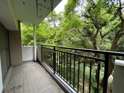 光が丘パークタウン春の風公園街 12号棟 バルコニー