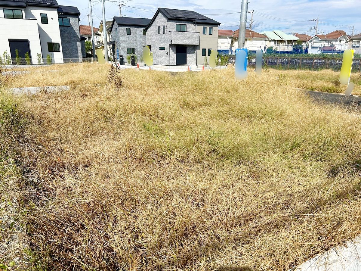 土地写真