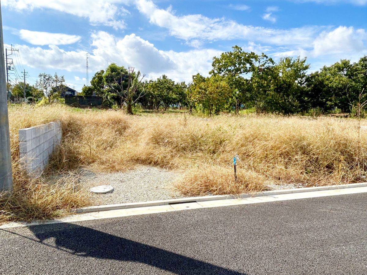 土地写真