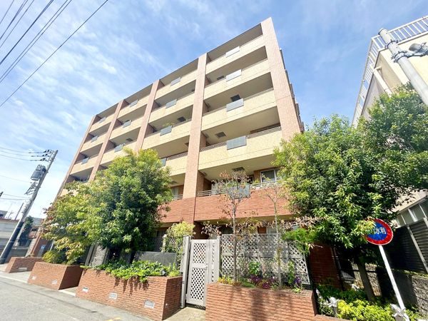 D’レスティア大泉学園通り 外観 D’レスティア大泉学園通り 外観