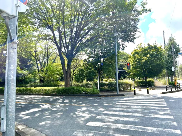 徒歩9分。自然豊かな朝霞市民の憩いの公園。野球場、子供用の遊具、広場、水遊び場があります。