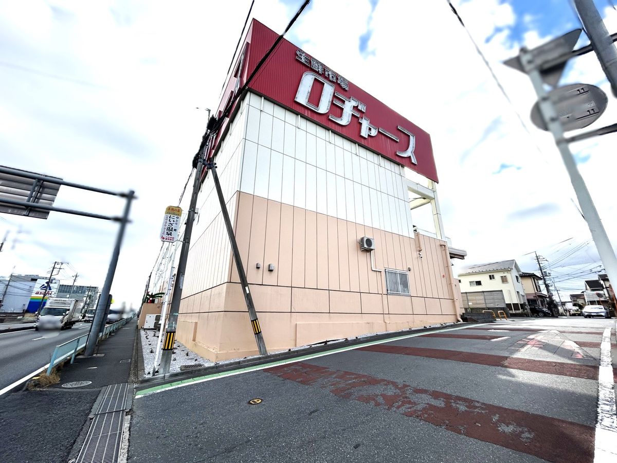 新座市野火止8丁目 戸建 ロヂャース 新座店(約480m) ロヂャース 新座店(約480m)