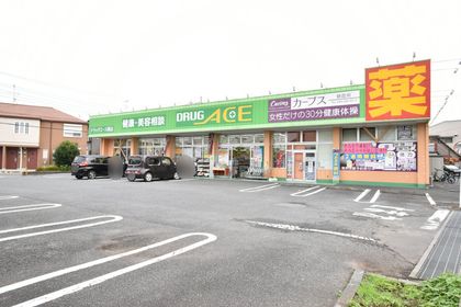 ドラッグ・エース岡店（約380ｍ）