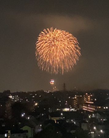 ダイアパレス朝霞台Ⅱ 眺望 眺望