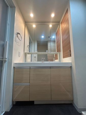 グローベルザ・ステーション新座 グランエンブレム 洗面 グローベルザ・ステーション新座 グランエンブレム 洗面