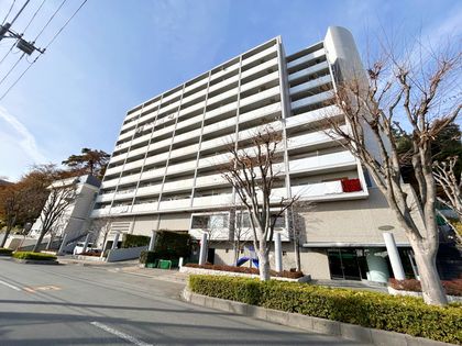 シティ光陽朝霞泉水 外観