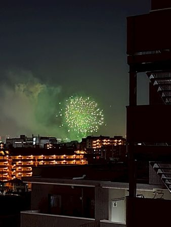 志木南パーク・ホームズ 眺望