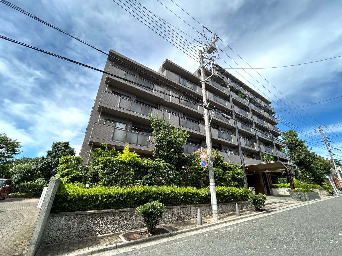 ザ・ステイツ朝霞根岸台ネクスト21 外観 外観