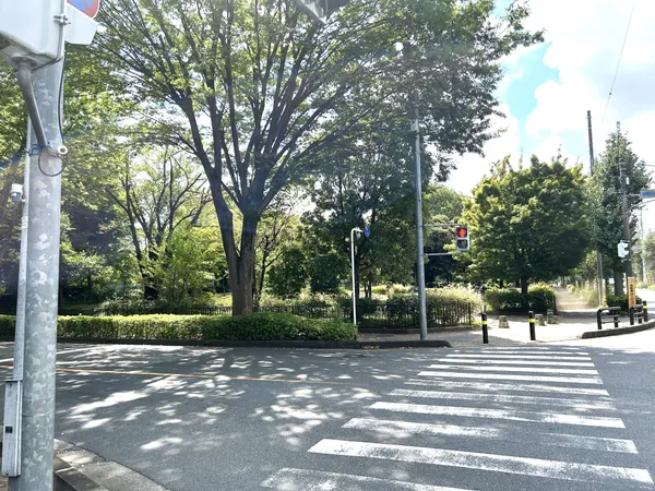 徒歩7分。自然豊かな朝霞市民の憩いの公園。野球場、子供用の遊具、広場、水遊び場があります。