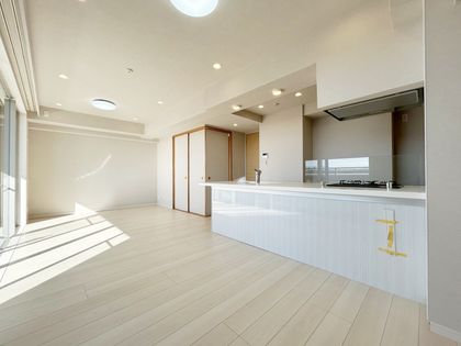 ライオンズガーデン成増ヴィスタヒル エアリーコート リビング