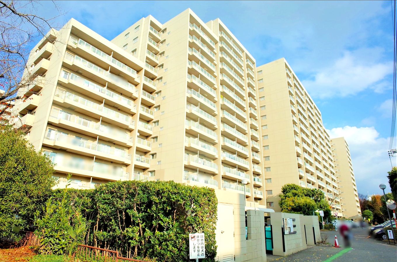 シーアイハイツ和光J号棟 外観 外観