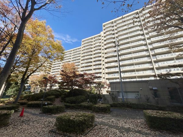 シーアイハイツ和光E号棟 外観 外観