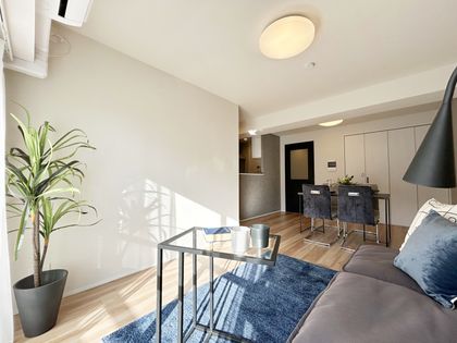 ライオンズマンション下赤塚 リビング