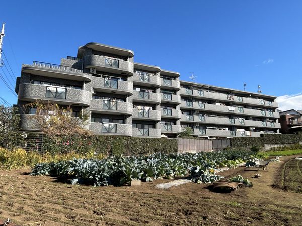 ライオンズヒルズ成増 外観 外観