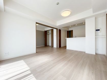 レクセルマンション板橋徳丸 リビング