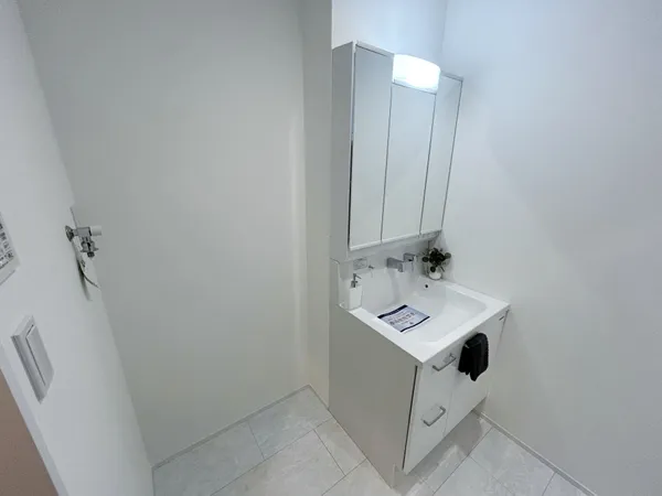 ハンドシャワー付き洗面化粧台