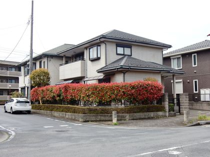 坂戸市にっさい花みず木6丁目 戸建 外観