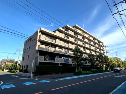 ハイラーク若葉マロニエアベニュー 外観