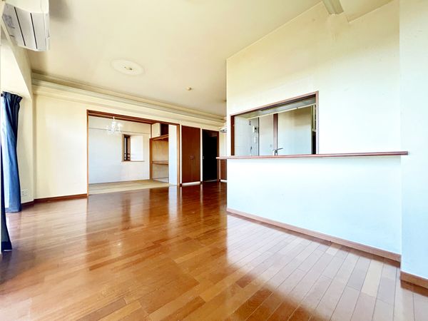 レクセルマンション若葉第2 リビング