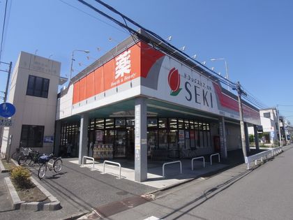 ドラッグストアセキ川越新宿町店（約140ｍ）