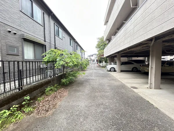 現地写真