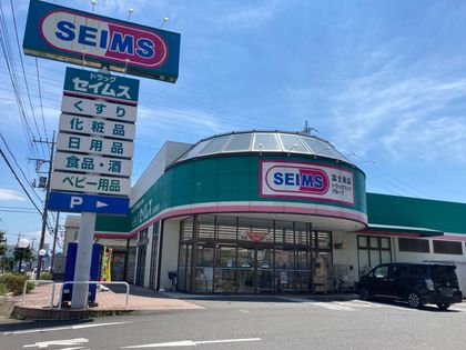 ドラッグセイムス桶川西店（約600ｍ）