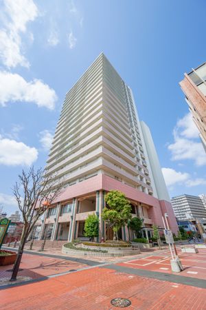 ライオンズタワー上尾 外観 ライオンズタワー上尾 外観