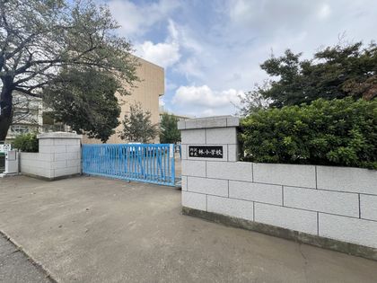 所沢市立林小学校（約100ｍ）
