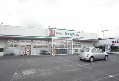 ドラッグセイムス所沢林店（約950ｍ）
