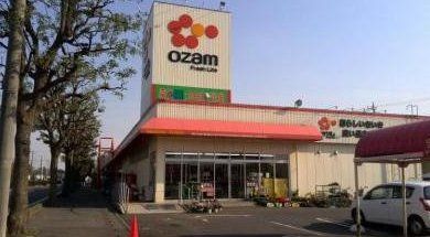 所沢市中富 新築戸建 3期 スーパーオザム中富店(約1450m) 所沢市中富 新築戸建 3期 スーパーオザム中富店(約1450m)