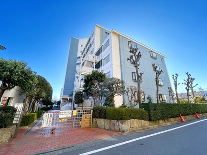 小手指ハイツF棟 外観