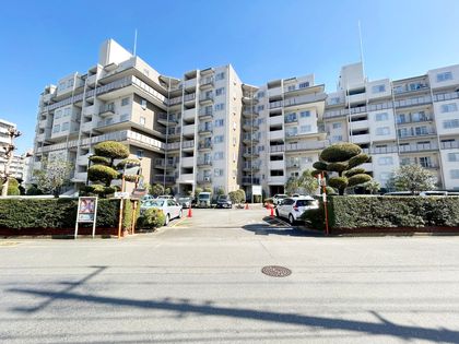 小手指ハイツP棟 外観