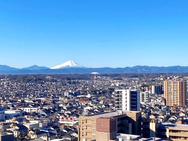 コンセールタワー所沢 富士山眺望可