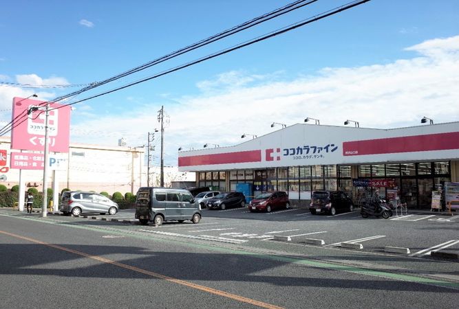 ココカラファイン所沢山口店（約1000ｍ）