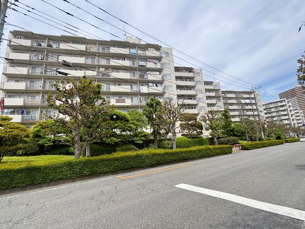 小手指ハイツ P棟 外観